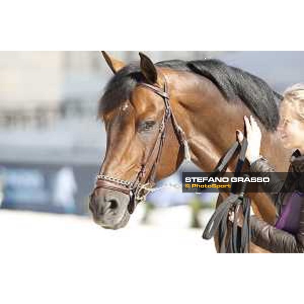 LGCT of Rome - Vet check - Capital Colnardo Rome - Stadio dei Marmi, 21st sep.2017 ph.Stefano Grasso/LGCT