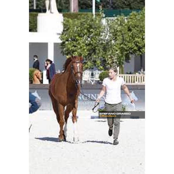 LGCT of Rome - Vet check - Chacco Kid Rome - Stadio dei Marmi, 21st sep.2017 ph.Stefano Grasso/LGCT