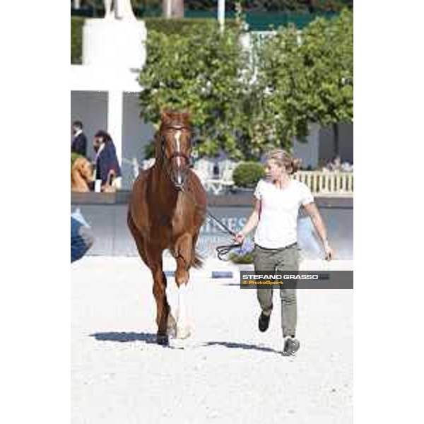 LGCT of Rome - Vet check - Chacco Kid Rome - Stadio dei Marmi, 21st sep.2017 ph.Stefano Grasso/LGCT