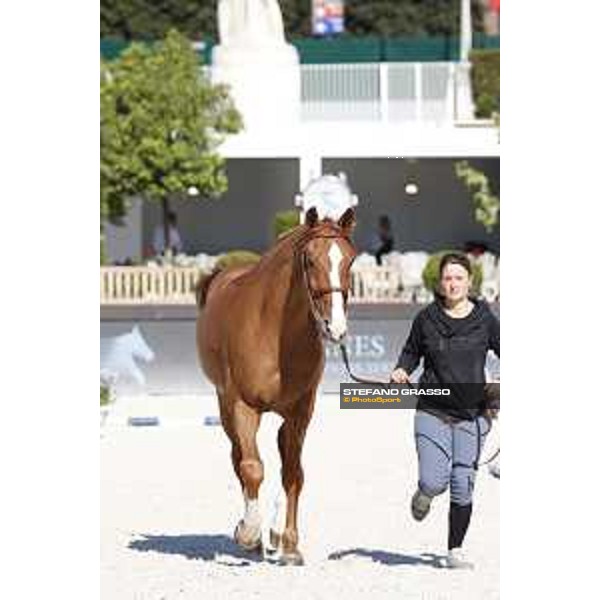 LGCT of Rome - Vet check - Chesall Zimequest Rome - Stadio dei Marmi, 21st sep.2017 ph.Stefano Grasso/LGCT