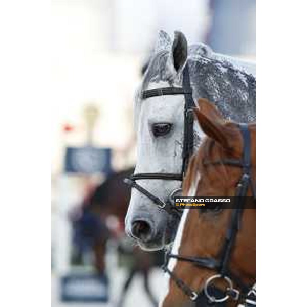 LGCT of Rome - Warm up - Cornet 39 Rome - Stadio dei Marmi, 21st sep.2017 ph.Stefano Grasso/LGCT