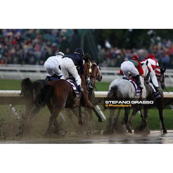 George Washington, Diamond Stripes, Hard Spun and Curlin at the first turn of the Breeders\' Cup Classic at Monmouth Park racetrack Monmouth Park, 26th october 2007 ph. Stefano Grasso