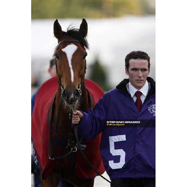 a close up for George Washington and his groom before the start of the Breeders\' Cup Classic at Monmouth Park racetrack Monmouth Park, 26th october 2007 ph. Stefano Grasso