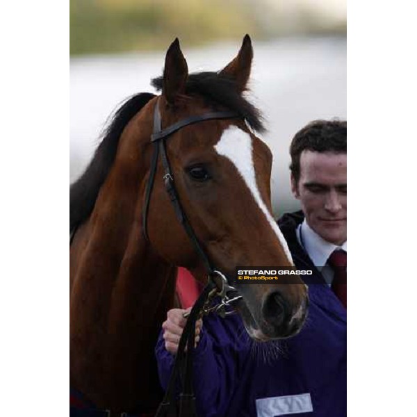 a close up for George Washington before the start of the Breeders\' Cup Classic at Monmouth Park racetrack Monmouth Park, 26th october 2007 ph. Stefano Grasso