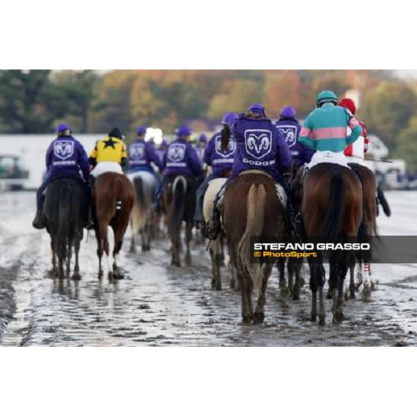the horses of the Breeders\' Cup Classic parade before the start at Monmouth Park racetrack Monmouth Park, 26th october 2007 ph. Stefano Grasso
