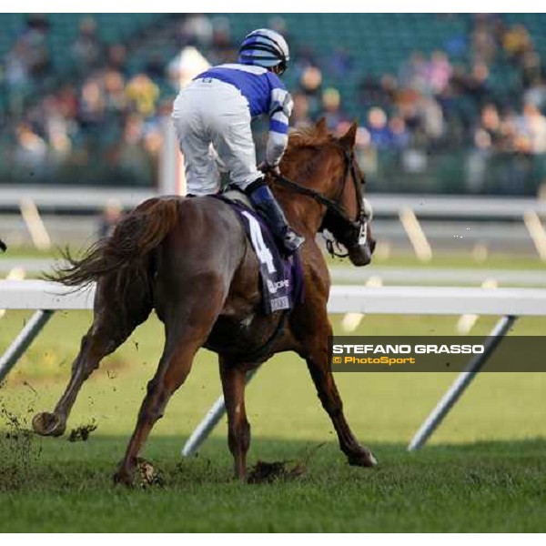 Julien Leparoux on Shandinan on the first bend of the Breeders\' Cup Turf at Monmouth Park racetrack Monmouth Park, 26th october 2007 ph. Stefano Grasso