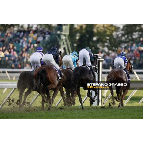 John Velazquez on English Channel leads on the first bend in the Breeders\' Cup Turf at Monmouth Park racetrack followed by Shamdinan, Red Rocks and Dylan Thomas Monmouth Park, 26th october 2007 ph. Stefano Grasso