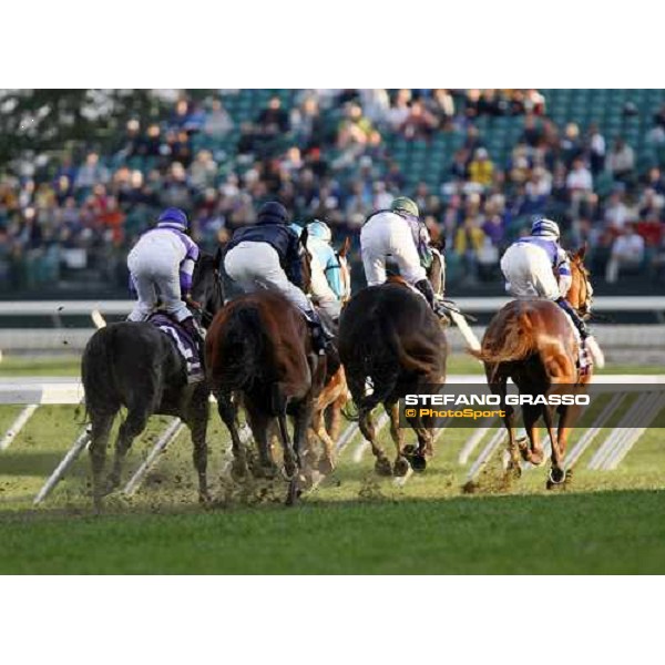John Velazquez on English Channel leads on the first bend in the Breeders\' Cup Turf at Monmouth Park racetrack followed by Shamdinan, Red Rocks and Dylan Thomas Monmouth Park, 26th october 2007 ph. Stefano Grasso
