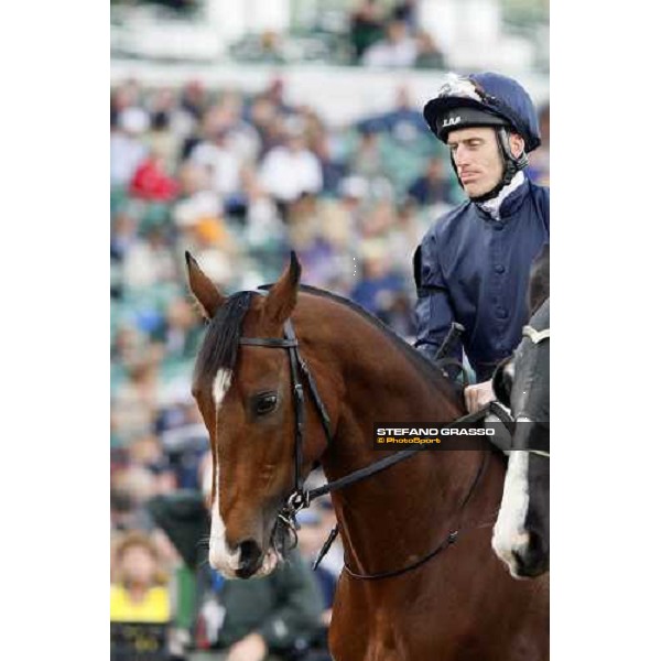 Johnny Murtagh parades on Dylan Thomas before the Breeeder\'s Cup Turf at Monmouth Park racetrack Monmouth Park, 27th october 2007 ph. Stefano Grasso