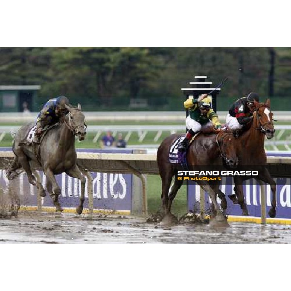 Rafael Bejarano on Ginger Punch (4) wins the Breeeder\'s Cup Distaff at Monmouth Park racetrack beating Hystericalady and Prop Me Up Monmouth Park, 27th october 2007 ph. Stefano Grasso