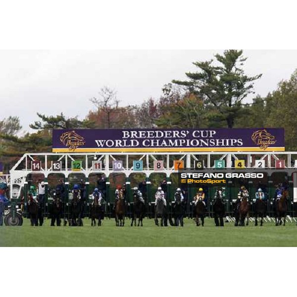 the start of Breeeder\'s Cup Mile at Monmouth Park racetrack Monmouth Park, 27th october 2007 ph. Stefano Grasso