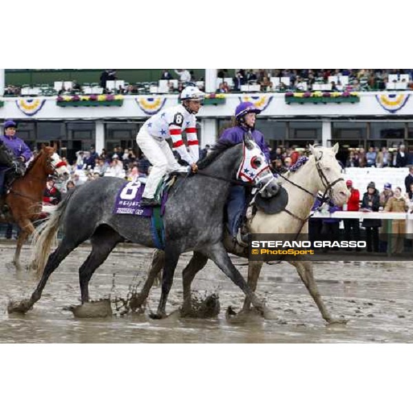 Cornelio Velasquez on Kip Deville goes to the start of the Breeders\' Cup Mile at Monmouth Park racetrack Monmouth Park, 27th october 2007 ph. Stefano Grasso