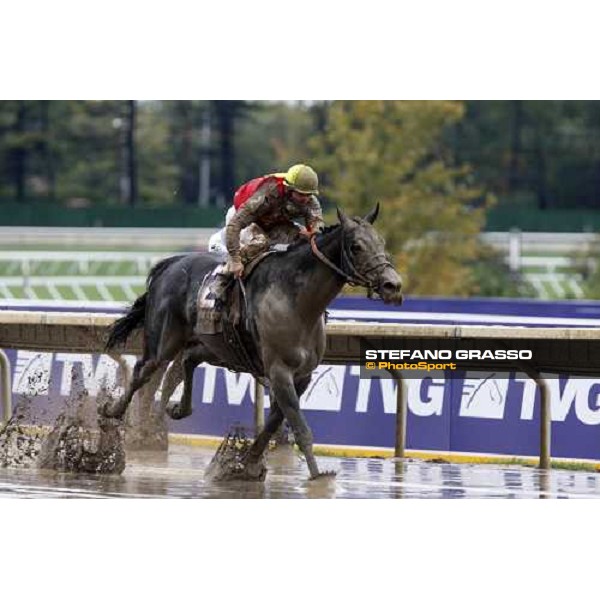 Garrett Gomez on Midnight Lute wins the Breeders\' Cup Sprint at Monmouth Park racetrack Monmouth Park, 27th october 2007 ph. Stefano Grasso