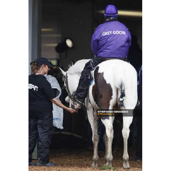 a pony waiting the horses of the Breeeder\'s Cup Juvenile Fillies at Monmouth Park racetrack Monmouth Park, 27th october 2007 ph. Stefano Grasso
