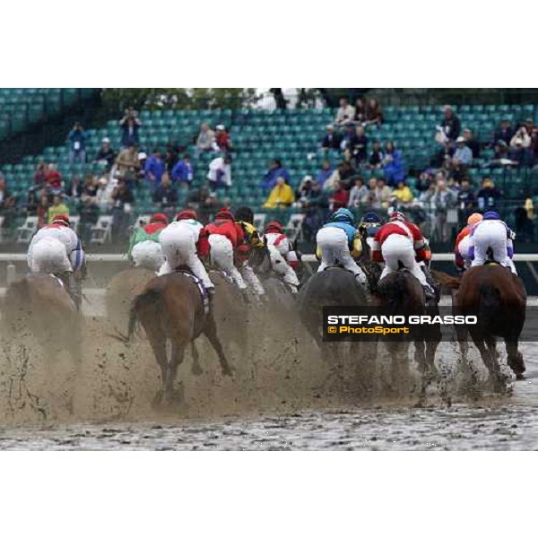 the horses of the Breeeder\'s Cup Juvenile Fillies at the first turn at Monmouth Park racetrack Monmouth Park, 27th october 2007 ph. Stefano Grasso