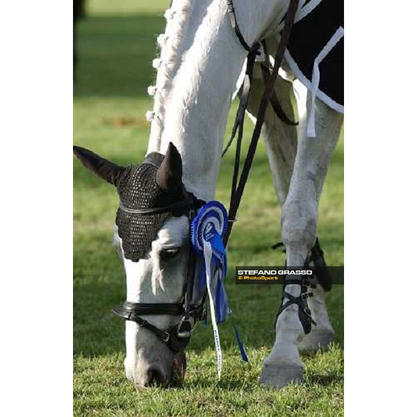 close up for De Sjem - Holland team and 2000 Olympic Champion Rome Piazza di Siena 28th may 2004 ph.Stefano Grasso