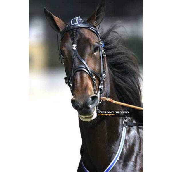 close up for Adrian Chip before the start of the Gran Premio Paolo e Orsino Orsi Mangelli Milan, 1st nov. 2007 ph. Stefano Grasso