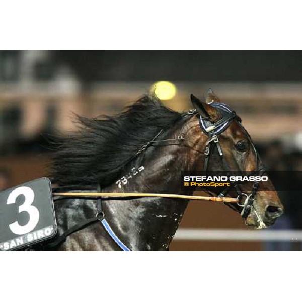 close up for Adrian Chip flying to the line of the Gran Premio Paolo e Orsino Orsi Mangelli Milan, 1st nov. 2007 ph. Stefano Grasso