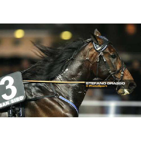 close up for Adrian Chip flying to the line of the Gran Premio Paolo e Orsino Orsi Mangelli Milan, 1st nov. 2007 ph. Stefano Grasso