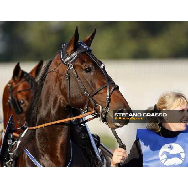 close up for Adrian Chip winner of the Premio Paolo e Orsino Orsi Mangelli Milan, 1st nov. 2007 ph. Stefano Grasso