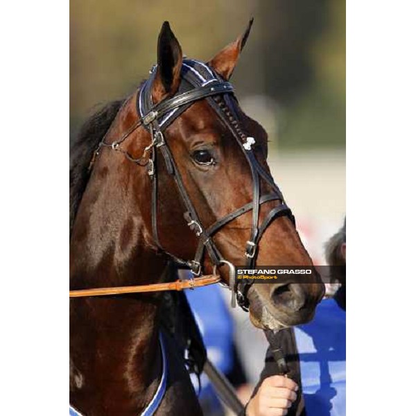 close up for Adrian Chip winner of the Premio Paolo e Orsino Orsi Mangelli Milan, 1st nov. 2007 ph. Stefano Grasso