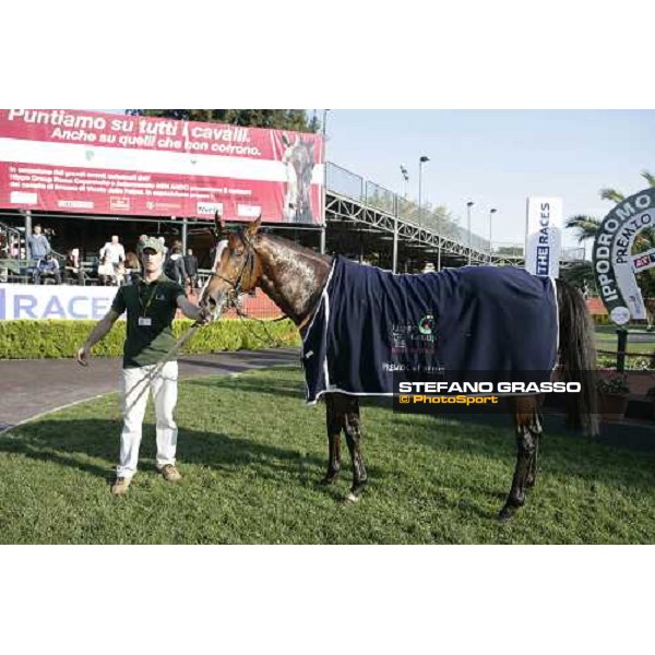 Dream Impact after winning the Premio Carlo e Francesco Aloisi Roma, 4th november 2007 ph. Stefano Grasso