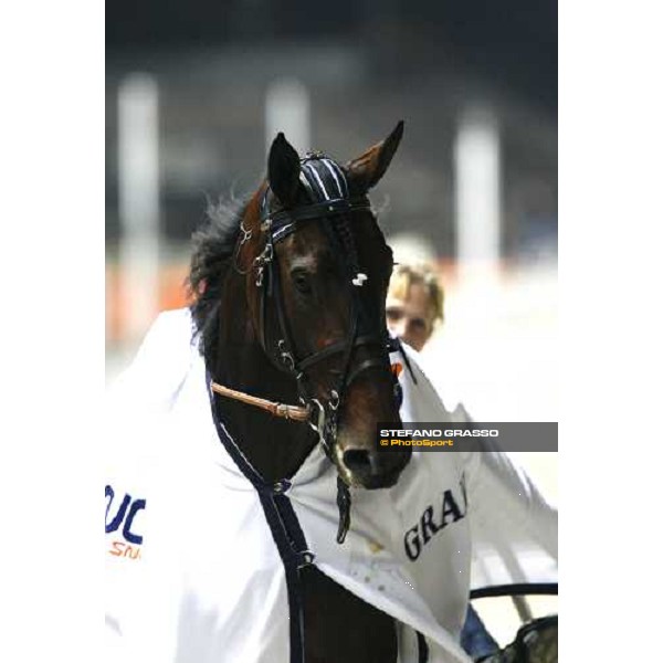 close up for Adrian Chip winner of the Gran Premio Paolo e Orsino Orsi Mangelli Milan, 1st nov. 2007 ph. Stefano Grasso