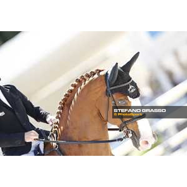 LGCT of Rome - Class 6 - Marcus Ehning on Funky Fred - Rome, Stadio dei Marmi - 22 September 2017 - ph.Stefano Grasso/LGCT