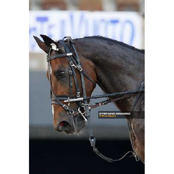 close up for Ganimec Milan, 1st nov. 2007 ph. Stefano Grasso