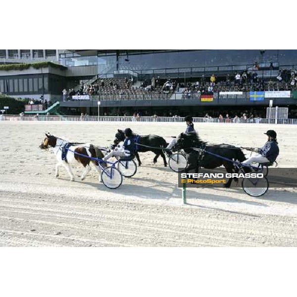 pony races at San Siro racetrack Milan, 1st november 2007 ph. Stefano Grasso