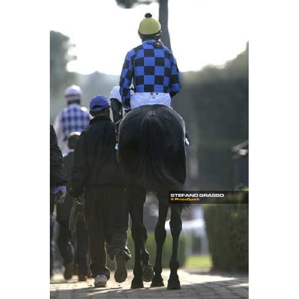 horses coming back after a races at Capannelle racetrack Rome, 4th nov. 2007 ph. Stefano Grasso