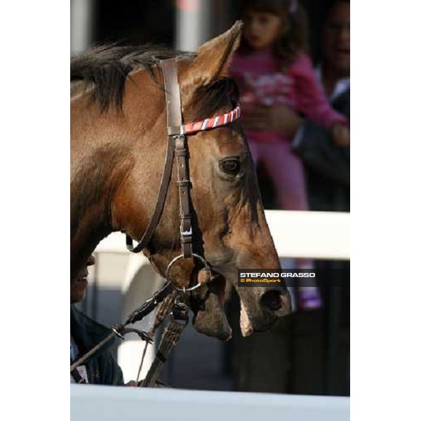 close up for Le Cadre Noir before the Premio Carlo e Francesco Aloisi Rome, 4th nov. 2007 ph. Stefano Grasso