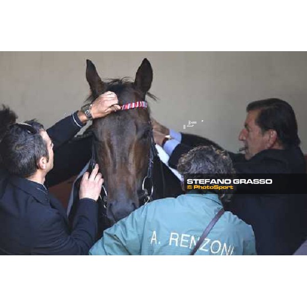Armando Renzoni prepares Le Cadre Noir before the Premio Carlo e Francesco Aloisi Rome, 4th nov. 2007 ph. Stefano Grasso