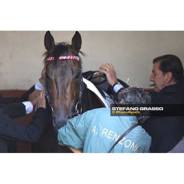 Armando Renzoni prepares Le Cadre Noir before the Premio Carlo e Francesco Aloisi Rome, 4th nov. 2007 ph. Stefano Grasso