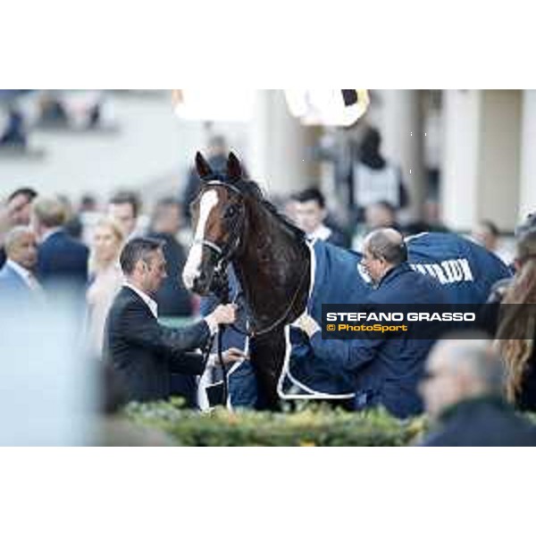 Royal Youmzain - Winner of the Gran Criterium Milano - San Siro racecourse 22nd octiber 2017 - ph.Stefano Grasso