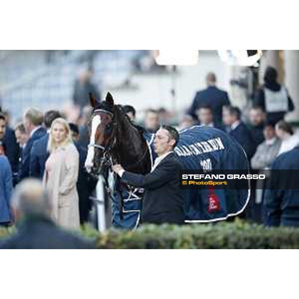 Royal Youmzain - Winner of the Gran Criterium Milano - San Siro racecourse 22nd octiber 2017 - ph.Stefano Grasso