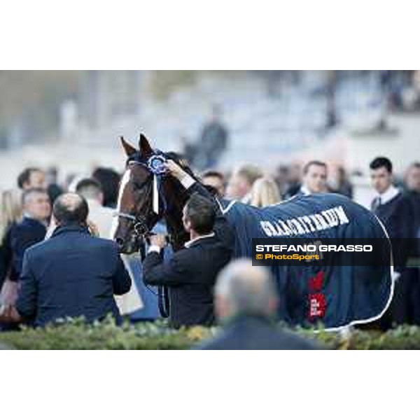 Royal Youmzain - Winner of the Gran Criterium Milano - San Siro racecourse 22nd octiber 2017 - ph.Stefano Grasso