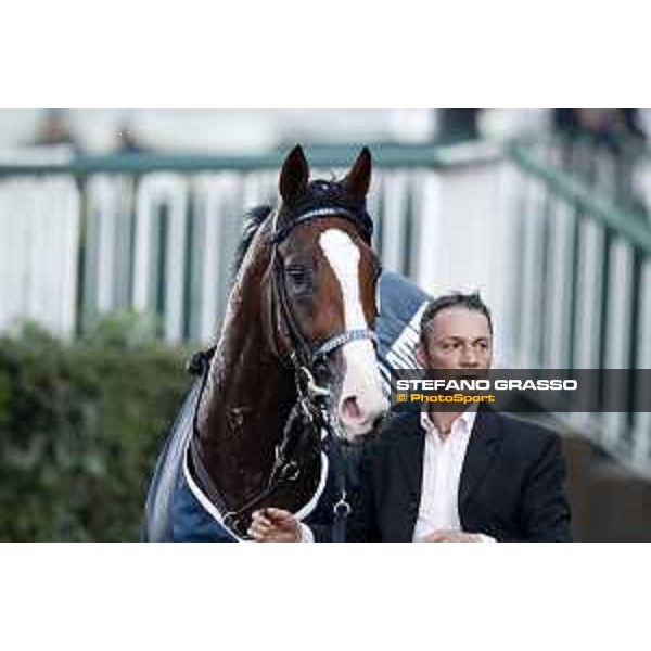 Royal Youmzain - Winner of the Gran Criterium Milano - San Siro racecourse 22nd octiber 2017 - ph.Stefano Grasso