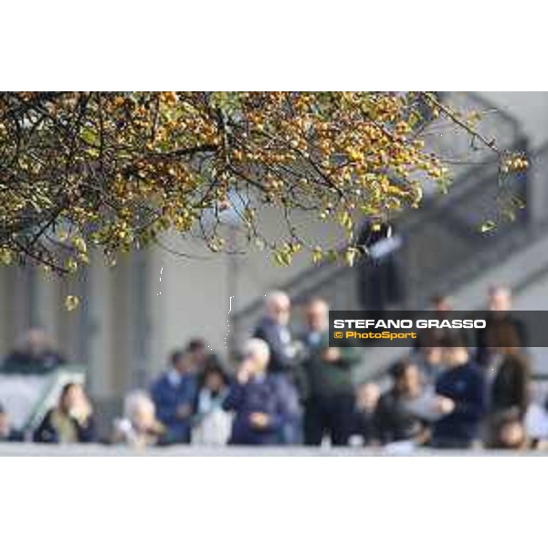 Autumn at San Siro Milano - San Siro racecourse 22nd octiber 2017 - ph.Stefano Grasso