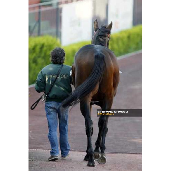 Le Cadre Noir with his groom parading before the Premio Carlo e Francesco Aloisi Rome, 4th nov. 2007 ph. Stefano Grasso