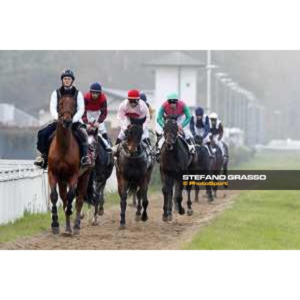 A group of horses return back to the stable after the race Milano - San Siro racecourse 22nd octiber 2017 - ph.Stefano Grasso