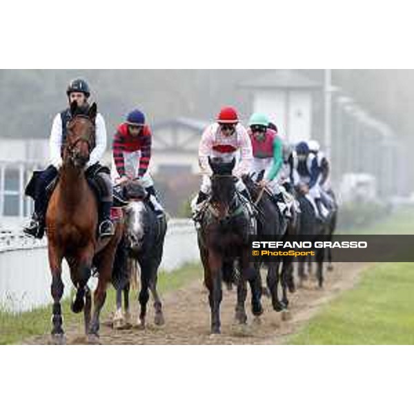 A group of horses return back to the stable after the race Milano - San Siro racecourse 22nd octiber 2017 - ph.Stefano Grasso
