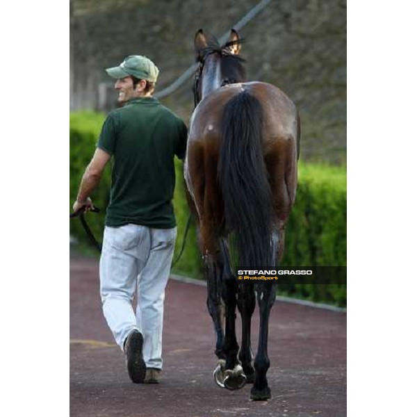 Dream Impact comes back to the stable with his groom after winning the Premio Carlo e Francesco Aloisi Rome, 4th nov. 2007 ph. Stefano Grasso