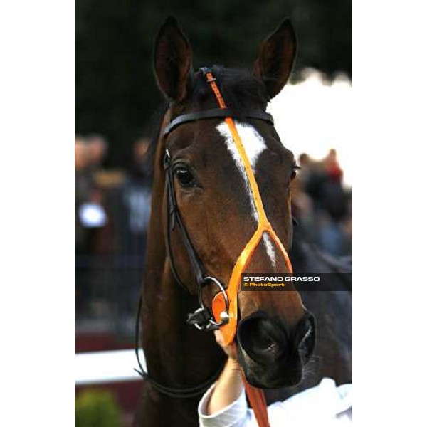 close up for Les Fazzani winner of Premio Giuseppe Valiani Rome, 4th nov. 2007 ph. Stefano Grasso