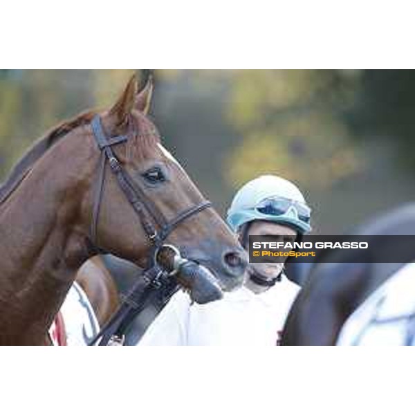 Savoir Vivre Milano - San Siro racecourse 22nd octiber 2017 - ph.Stefano Grasso
