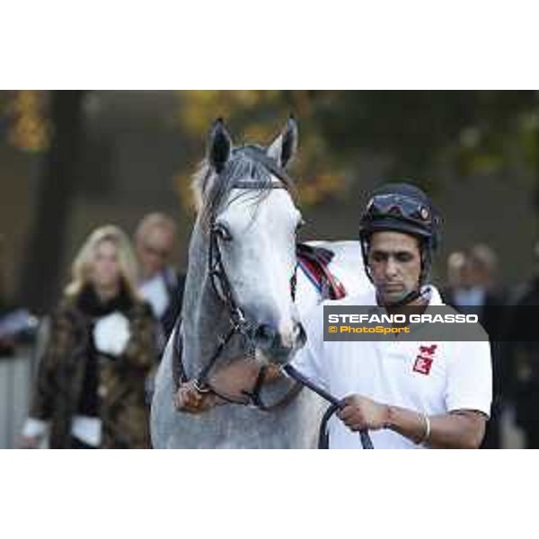 Way to Paris Milano - San Siro racecourse 22nd octiber 2017 - ph.Stefano Grasso