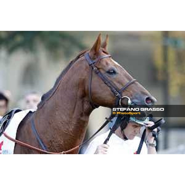 Savoir Vivre Milano - San Siro racecourse 22nd octiber 2017 - ph.Stefano Grasso