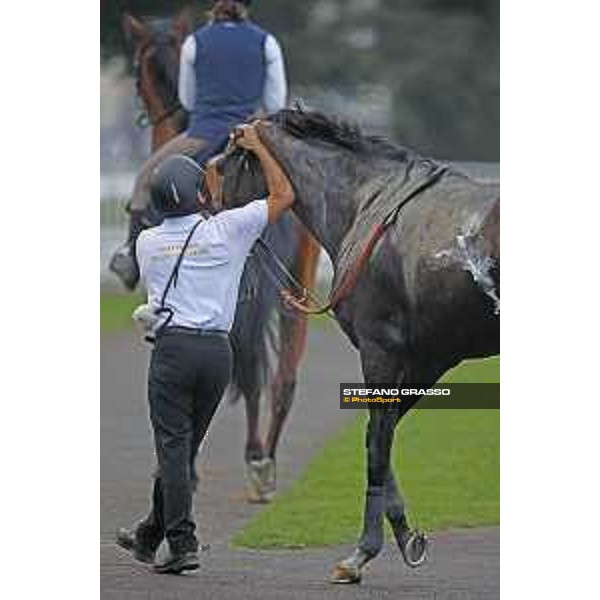 Full Drago and Jonathan Bacci Milano - San Siro racecourse 22nd octiber 2017 - ph.Stefano Grasso