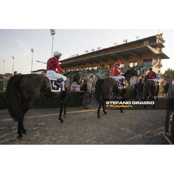 horses coming back to the stables after a race at Capannelle racetrack Rome, 4th nov. 2007 ph. Stefano Grasso