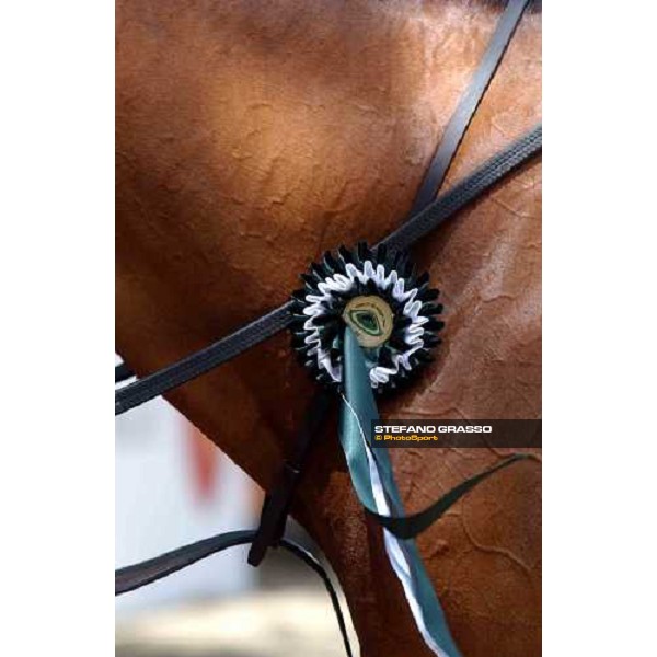 Rome Piazza di Siena 29th may 2004 ph.Stefano Grasso